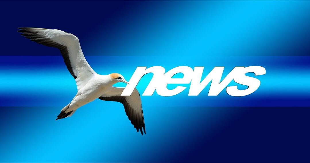 RHU SPRINT Newsletter N°1