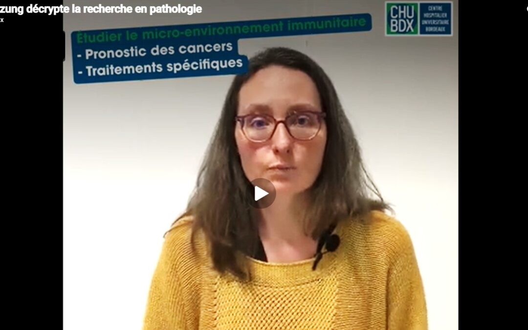 Qu’est-ce que le micro-environnement tumoral immunitaire ?